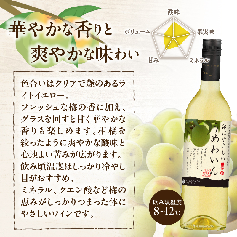 【数量限定】うめわいん(計1本) _T014-029【酒 飲料 アルコール 国産 人気 ギフト 飲料 食品 お酒 お土産 限定品 贈り物 送料無料 プレゼント】
