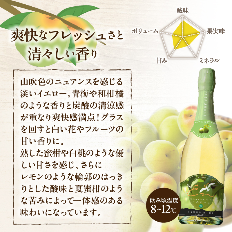 【数量限定】スパークリングワインうめ(計1本) _T014-030【酒 飲料 アルコール 国産 人気 ギフト 飲料 食品 お酒 お土産 限定品 贈り物 送料無料 プレゼント】