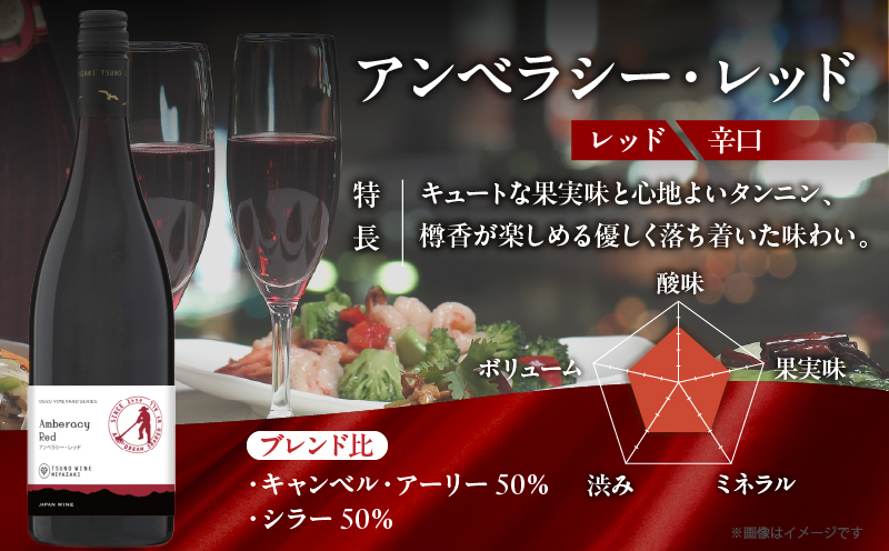 【数量限定】アンベラシー レッド(計1本)_T014-046【 ワイン 酒 アルコール 国産 人気 ギフト 食品 飲料 BBQ お土産 限定品 贈り物 送料無料 プレゼント】