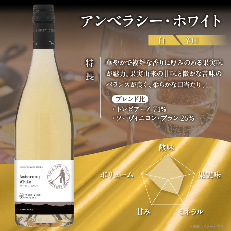 【数量限定】アンベラシー ホワイト(計1本)_T014-048【ワイン 酒 アルコール 国産 人気 ギフト 食品 飲料 BBQ お土産 限定品 贈り物 送料無料 プレゼント】