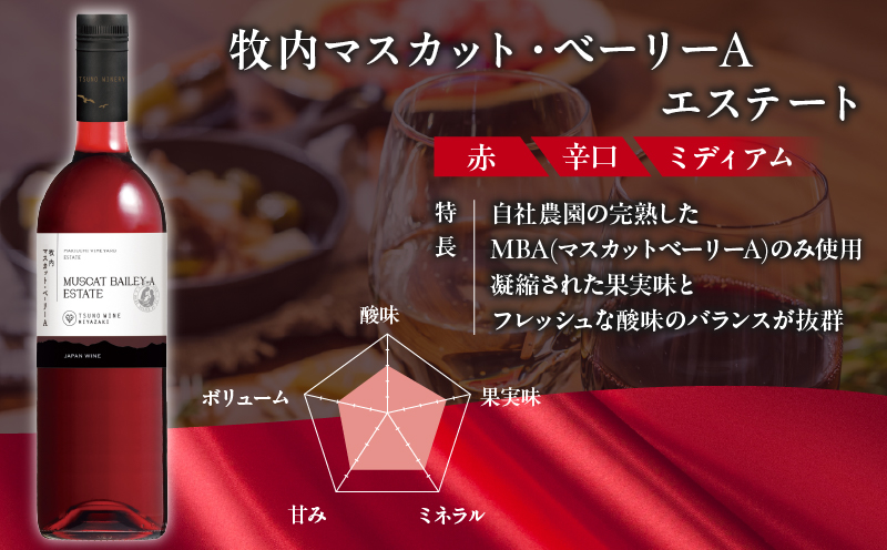 【数量限定】マスカットベリーベリー2本セット_T014-057【人気 ギフト 飲料 お酒 BBQ お土産 限定品 贈り物 送料無料 プレゼント ワイン 酒 アルコール 国産】