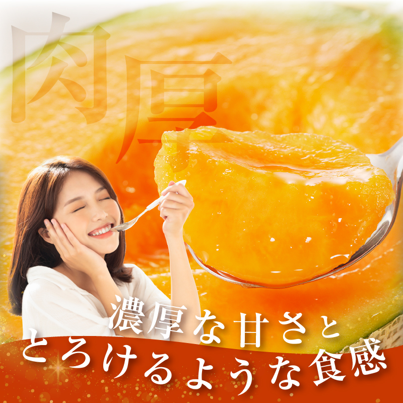 先行予約≪期間限定≫都農町産「赤肉メロン」計2玉 フルーツ 果物 デザート 国産_T015-0061-F【人気 ギフト 食品 旬 くだもの 果実 贈り物 お土産 送料無料 プレゼント】
