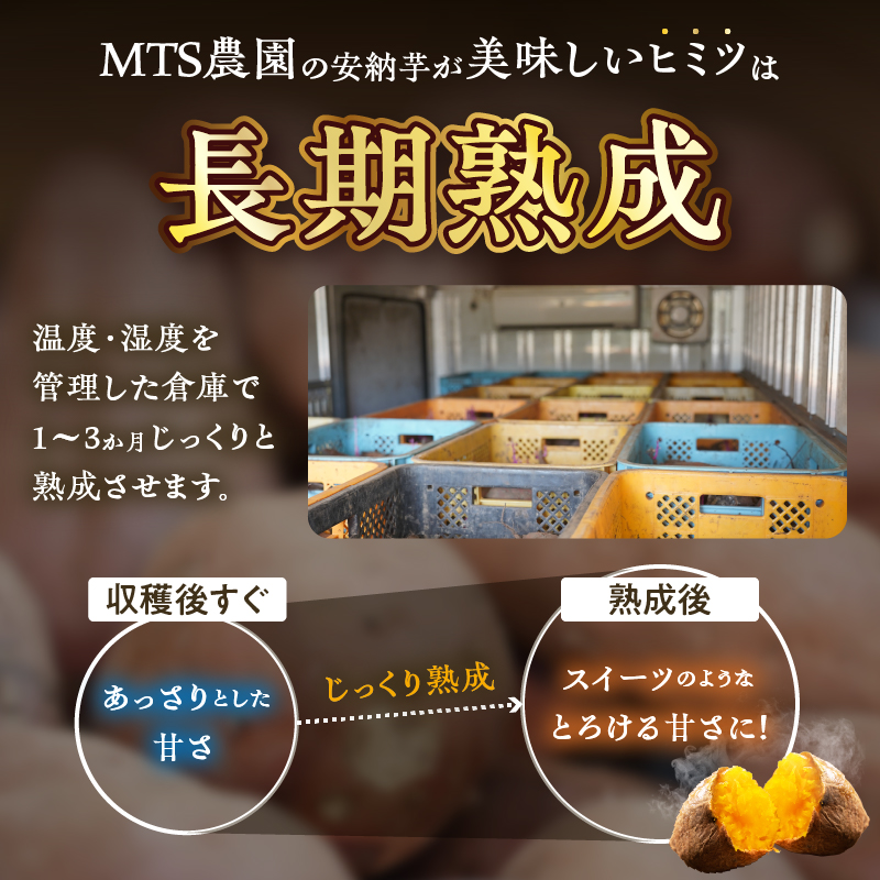 ≪期間限定≫都農町産安納芋(計10kg)_T016-0021【野菜 芋 イモ 国産 人気 ギフト おかず さつまいも 焼き芋 ポテト デザート 送料無料 プレゼント】