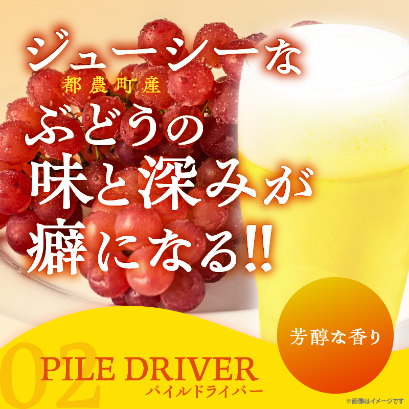 【2週間以内発送】都農クラフトビール詰め合わせ6本セット_T016-0031【酒 アルコール 飲料 国産 人気 ギフト お酒 地酒 晩酌 BBQ 贈り物 お土産 送料無料 プレゼント】