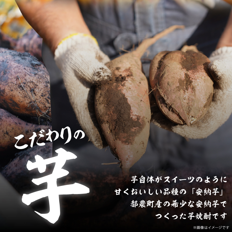 【2週間以内発送】幻の本格芋焼酎『尾鈴芋凰(おすずいもおう)』2本(25度)_T016-0041【酒 アルコール 飲料 国産 人気 ギフト お酒 本格芋焼酎 お土産 贈り物 送料無料 プレゼント】