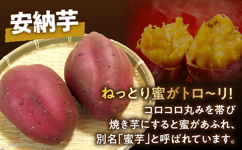 冷やし焼き芋(安納芋・紅はるか) 合計2kg_T016-005【さつまいも イモ 野菜 国産 人気 ギフト おかず おやつ やきいも ポテト デザート 送料無料 プレゼント】