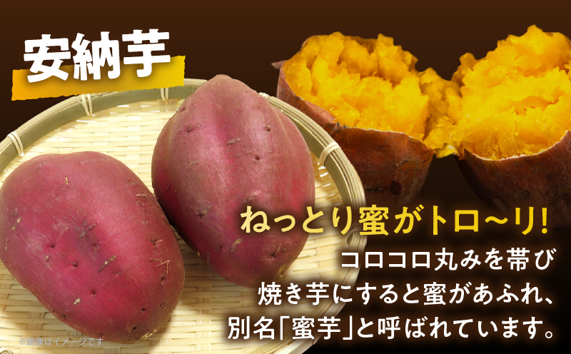 冷やし焼き芋(安納芋・紅はるか) 合計800g_T016-008【さつまいも イモ 野菜 国産 人気 ギフト おかず おやつ やきいも ポテト デザート 送料無料 プレゼント】