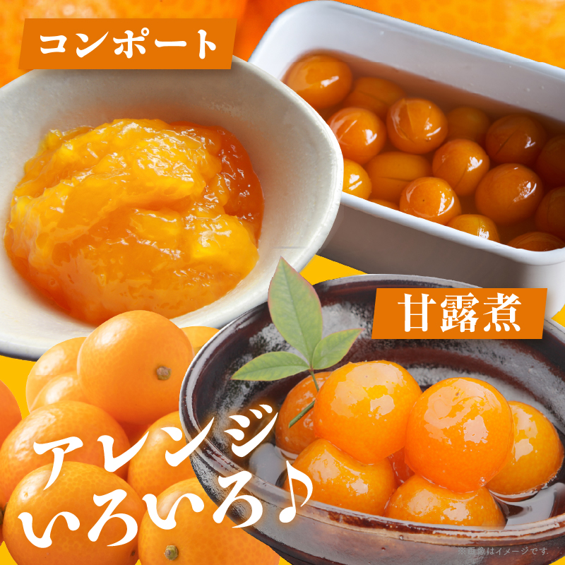 先行予約≪数量限定≫訳ありhiro君ハウスの『完熟きんかん(計2kg)』_T022-003【フルーツ 果物 金柑 国産 人気 ギフト 食品 くだもの アウトレット デザート 送料無料 プレゼント】