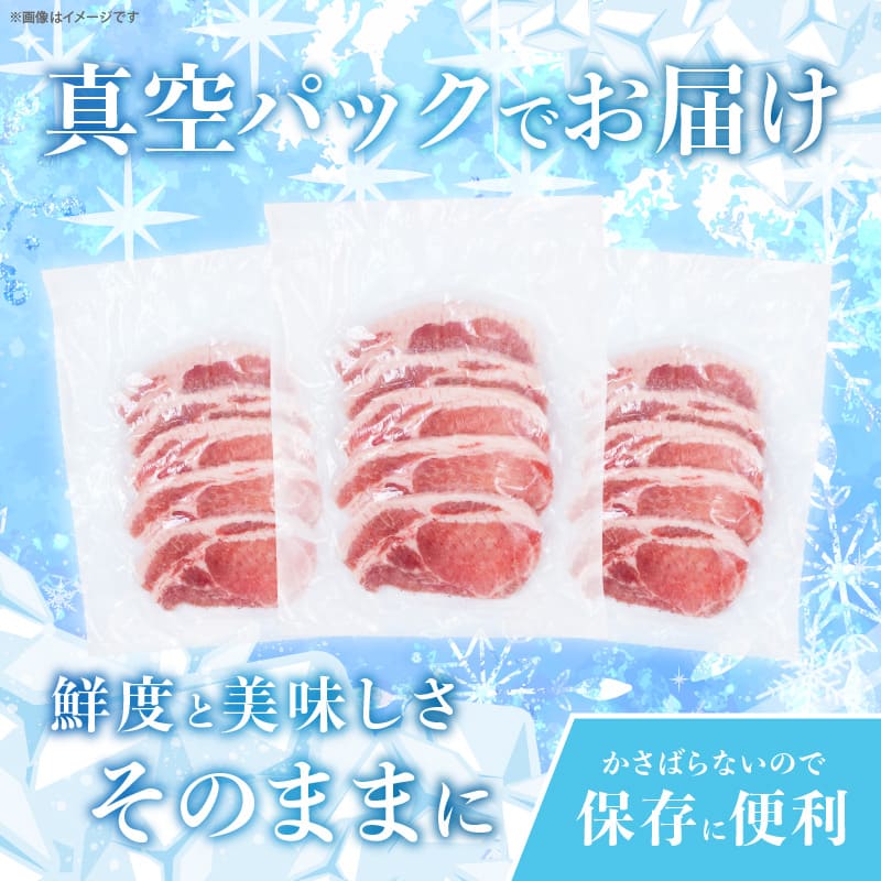 ≪宮崎ブランドポーク≫ロース(トンテキ・とんかつ用)計1kg_T023-0111【肉 豚 豚肉 国産 人気 ギフト 食品 おかず お肉 焼肉 BBQ 贈り物 送料無料 プレゼント】