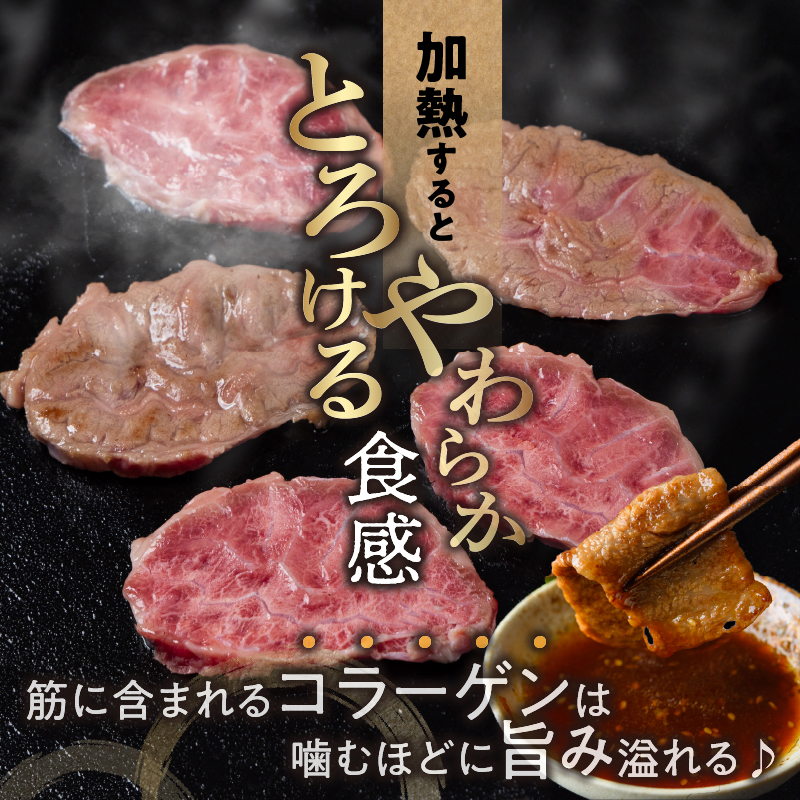 【超希少】宮崎県産黒毛和牛千本筋ブロック(計300g以上)_T023-0151【都農町新着 肉 牛 牛肉 国産 人気 ギフト おかず 食品 お肉 牛肉 焼肉 贈り物 送料無料 プレゼント】