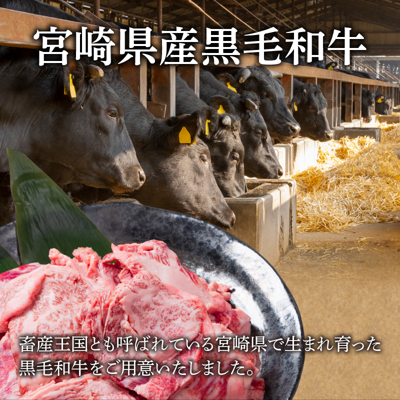 【2週間以内発送】宮崎県産黒毛和牛切り落とし(焼肉用)計500g_T023-0161【肉 牛 牛肉 国産 人気 ギフト おかず 食品 お肉 おかず BBQ 贈り物 送料無料 プレゼント】