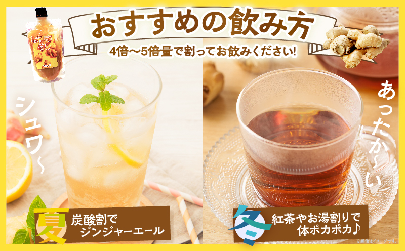 都農町産ジンジャーシロップ(計1本)_T024-013【生姜 加工品 国産 人気 ギフト 食品 ジャム デザート 贈り物 お土産 送料無料 プレゼント】