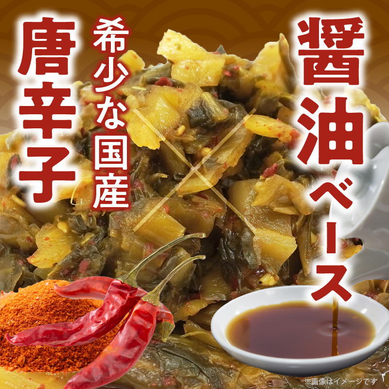 ＼ポスト投函／旨ごま高菜＆ピリ辛高菜セット 計2袋(各120g)_T025-026【漬物 おかず 野菜 加工品 国産 人気 ギフト おかず 食品 つけもの 和食 ご飯 贈り物 送料無料 プレゼント】