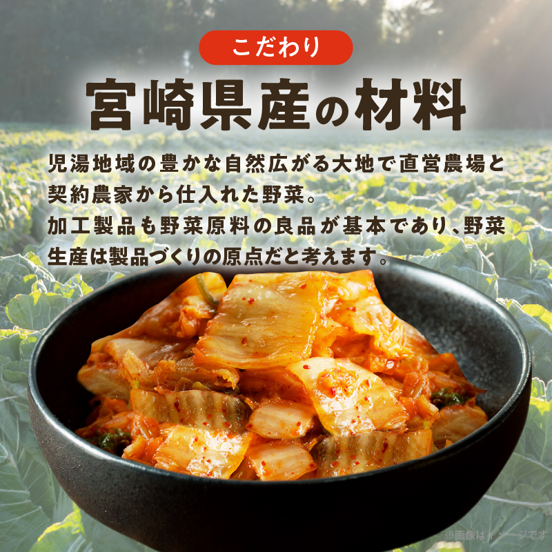白菜キムチ 計1袋 (1kg) _T025-040【漬物 おかず 野菜 加工品 国産 人気 ギフト おかず 食品 つけもの 和食 ご飯 贈り物 送料無料 プレゼント】