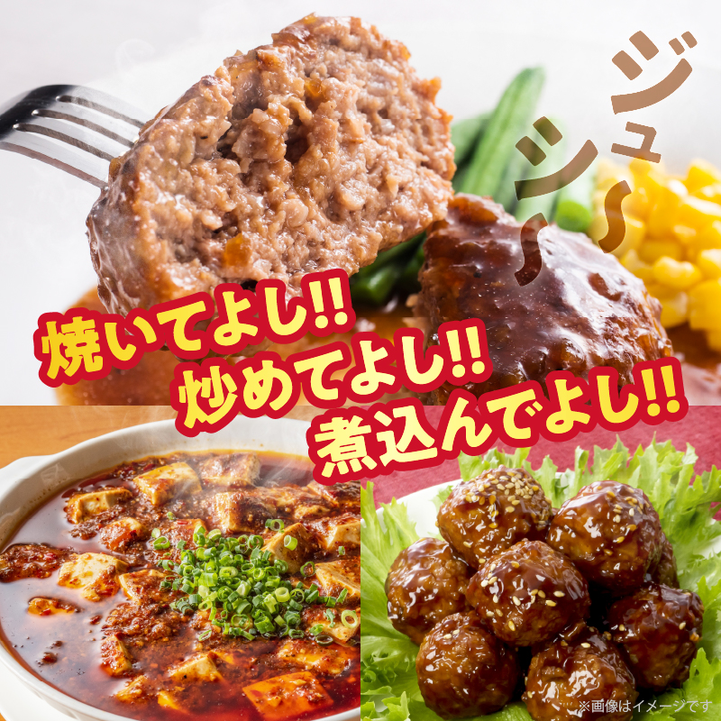 宮崎県産豚ミンチ肉 計1.2kg(300g×4パック) 肉 豚 豚肉 国産_T025-041
