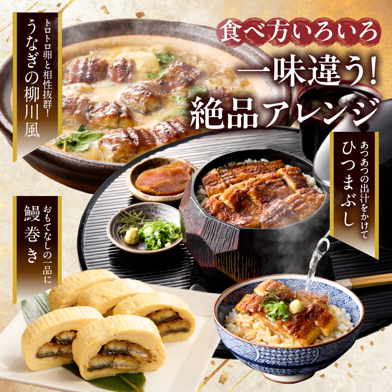 【年内発送】うなぎ蒲焼特大2尾(さんしょう・たれ付き)計380g以上_T026-0061-12【鰻 魚 魚介 加工品 国産 人気 ギフト 食品 おかず 惣菜 高級 お土産 贈り物 送料無料 プレゼント】