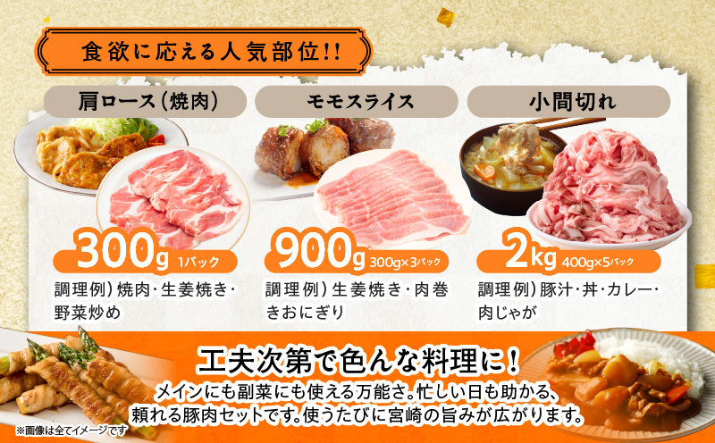 宮崎県産豚肉6種盛り合わせセット(合計4.1kg)_T030-204【肉 豚 豚肉 おかず 国産 人気 ギフト 食品 お肉 焼き肉 BBQ お土産 贈り物 送料無料 プレゼント】