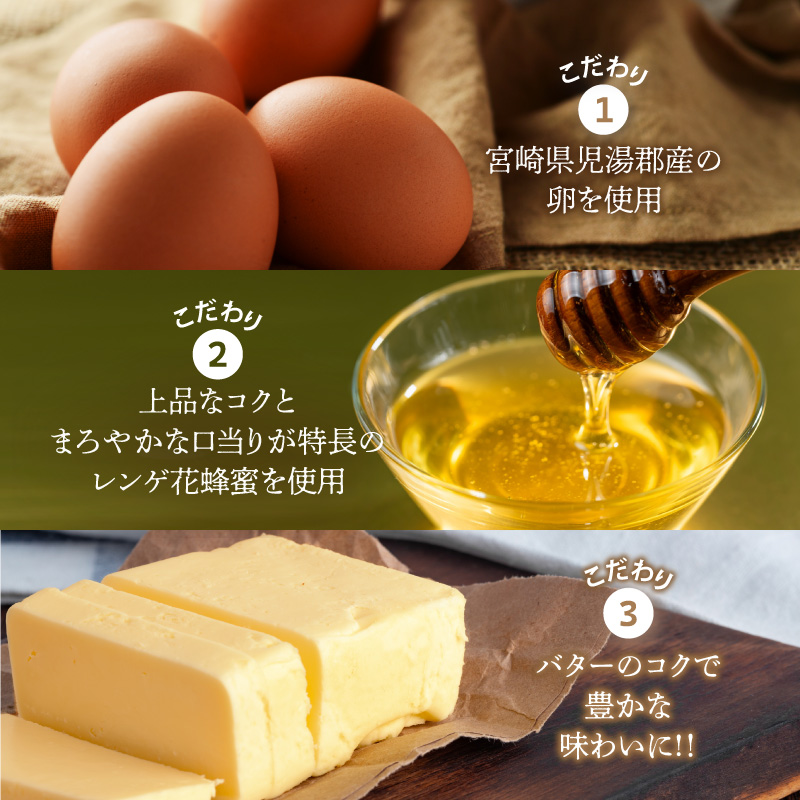 【2週間以内発送】老舗菓子舗のマドレーヌ2種セット(合計10個)_T035-0061【焼き菓子 スイーツ 詰め合わせ 洋菓子 人気 ギフト 食品 贈り物 お土産 デザート 加工品 送料無料 プレゼント】