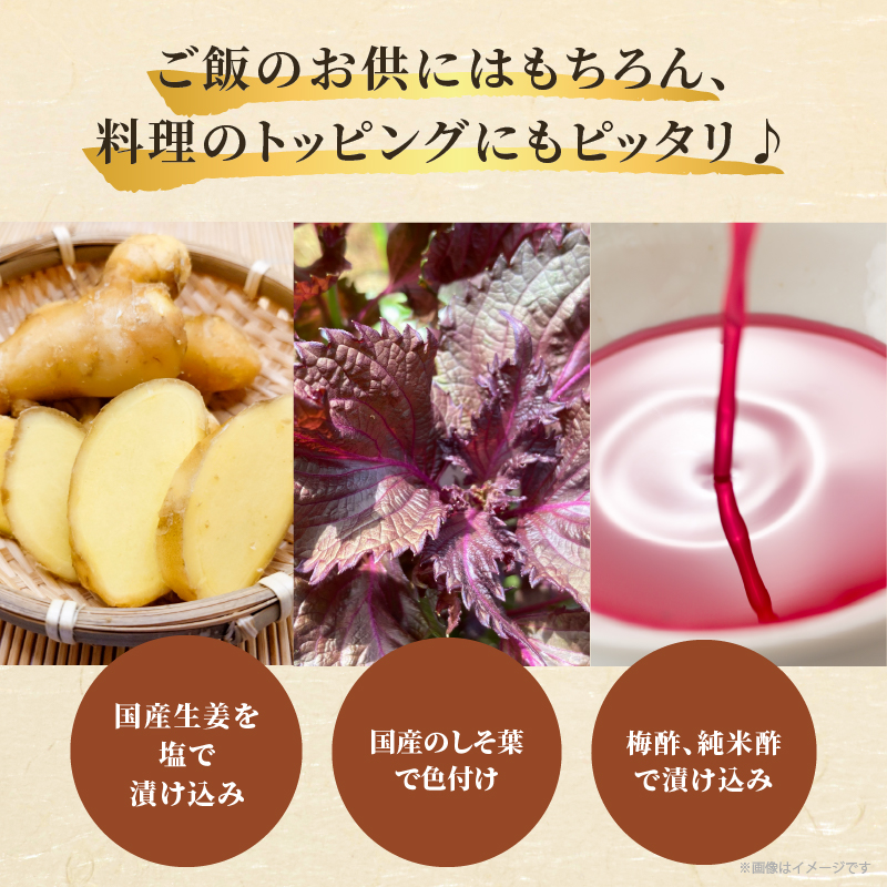 ＼ポスト投函／梅酢生姜100g_T037-0101【おかず 漬物 野菜 加工品 国産 人気 ギフト 食品 つけもの おつまみ ご飯 贈り物 送料無料 プレゼント】