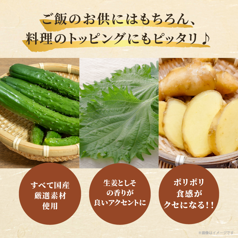 ＼ポスト投函／ひょうすんぼ漬け 計2袋_T037-0121【漬物 おかず 野菜 加工品 国産 人気 ギフト つけもの 食品 和食 ご飯 贈り物 送料無料 プレゼント】