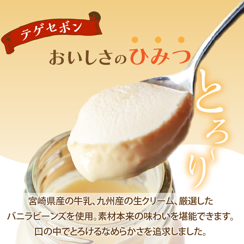 南国プリン「テゲセボン(計9個)」_T038-0051【スイーツ 洋菓子 国産 人気 ギフト 食品 贈り物 お土産 デザート 菓子 加工品 送料無料 プレゼント】
