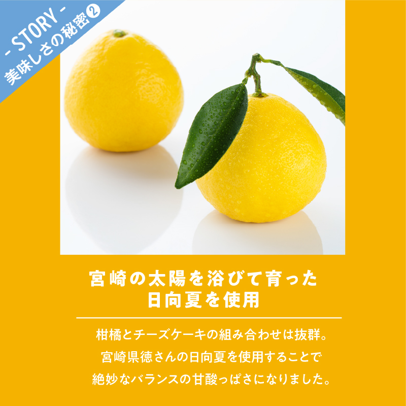 農の都で生まれた「都のチーズケーキ」計1個_T038-009【スイーツ 洋菓子 国産 人気 ギフト 食品 贈り物 お土産 デザート 菓子 加工品 送料無料 プレゼント】