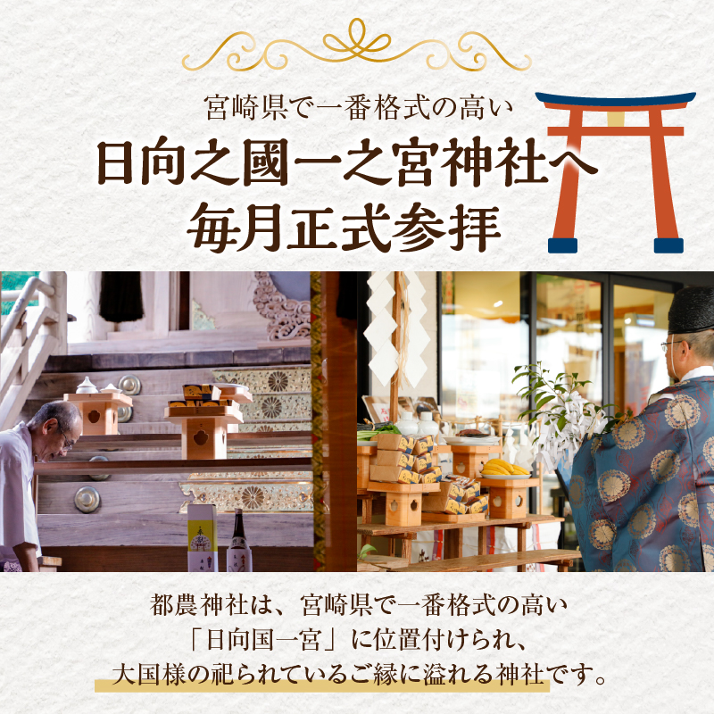 【2週間以内発送】＼ポスト投函／日向之國一之宮神社奉納菓子「都の金菓（計2個）」_T038-012【スイーツ お菓子 国産 人気 ギフト 食品 贈り物 お土産 デザート 加工品 送料無料 プレゼント】