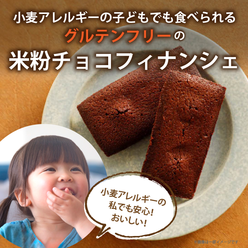 【2週間以内発送】≪グルテンフリー≫米粉のチョコフィナンシェ(計10個)_T038-015【スイーツ お菓子 国産 人気 ギフト 食品 菓子 贈り物 お土産 デザート 加工品 送料無料 プレゼント】