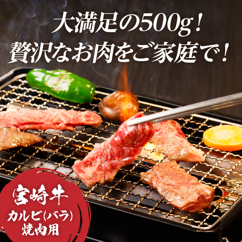 全部小分け真空パック!!「宮崎牛カルビ(バラ)焼肉用」計500g_T041-0062【肉 牛 牛肉 おかず 国産 人気 ギフト 食品 お肉 焼き肉 BBQ お土産 贈り物 送料無料 プレゼント】