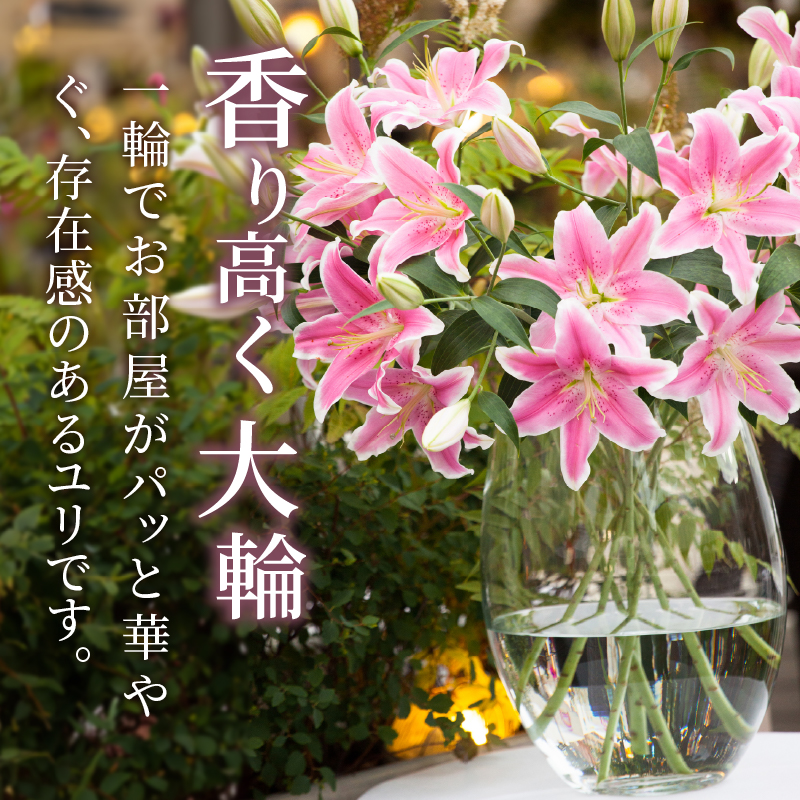 【2週間以内発送】「オリエンタルリリー ユリ」(ピンク) 計6本_T045-0021【生花 切花 百合 国産 人気 ギフト 花 花束 生花 植物 鑑賞用 贈り物 お土産 送料無料 プレゼント】