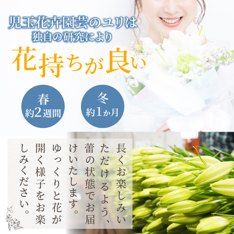 【2週間以内発送】≪期間限定≫LA ユリ(オレンジ) 約15本_T045-0071【生花 切花 百合 国産 人気 ギフト 花 花束 生花 植物 鑑賞用 贈り物 お土産 送料無料 プレゼント】