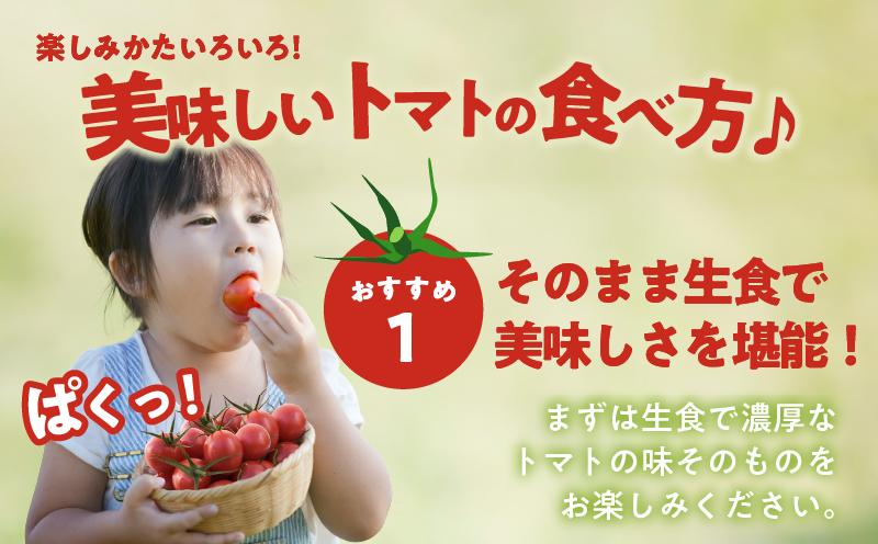 先行予約≪期間限定≫オリジナルブランド「フルーツトマト ゆき」計2kg ミニトマト 野菜 サラダ 国産_T047-0041【人気 ギフト 食品 とまと フルーツ 新鮮 お土産 贈り物 送料無料 プレゼント】