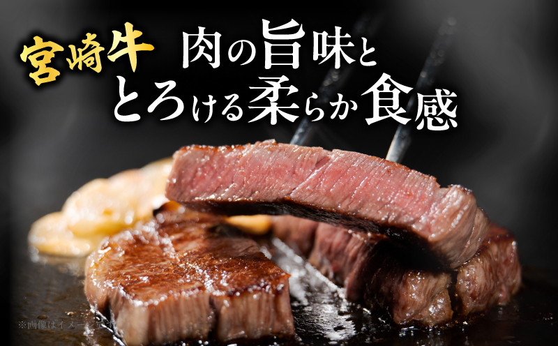 宮崎牛サーロインステーキ(計400g) _T050-0011【肉 牛 牛肉 国産 人気 ギフト 食品 おかず お肉 焼肉 BBQ 贈り物 送料無料 プレゼント】