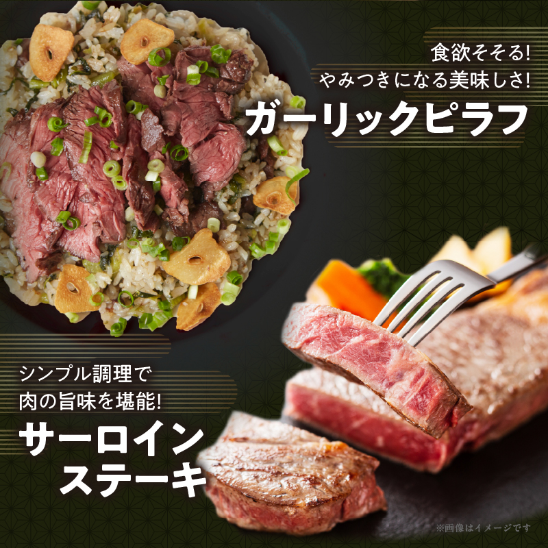 宮崎牛サーロインステーキ(計800g)_T050-002【肉 牛 牛肉 国産 人気 ギフト 食品 おかず お肉 焼肉 BBQ 贈り物 送料無料 プレゼント】