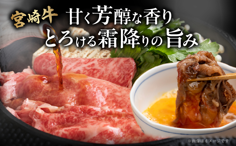 宮崎牛ローススライス(計800g)_T050-006【肉 牛 牛肉 国産 人気 ギフト 食品 おかず お肉 焼肉 BBQ 贈り物 送料無料 プレゼント】