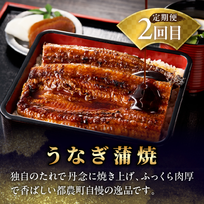 ≪定期便≫＼1か月に2回お届け!!／宮崎牛ロースステーキ×うなぎ蒲焼★最強コンビ 肉 牛肉 鰻 魚介 国産_T999-0025【肉 牛肉 鰻 魚介 国産 人気 ギフト 食品 焼肉 BBQ ステーキ 惣菜 高級 贈り物 送料無料】