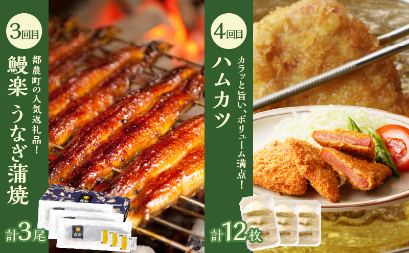 ≪6か月お楽しみ定期便≫都農町定期便(梅)_T999-0053【肉 加工品 デザート 国産 人気 ギフト おかず 食品 鰻 簡単調理 贈り物 お土産 送料無料 プレゼント】