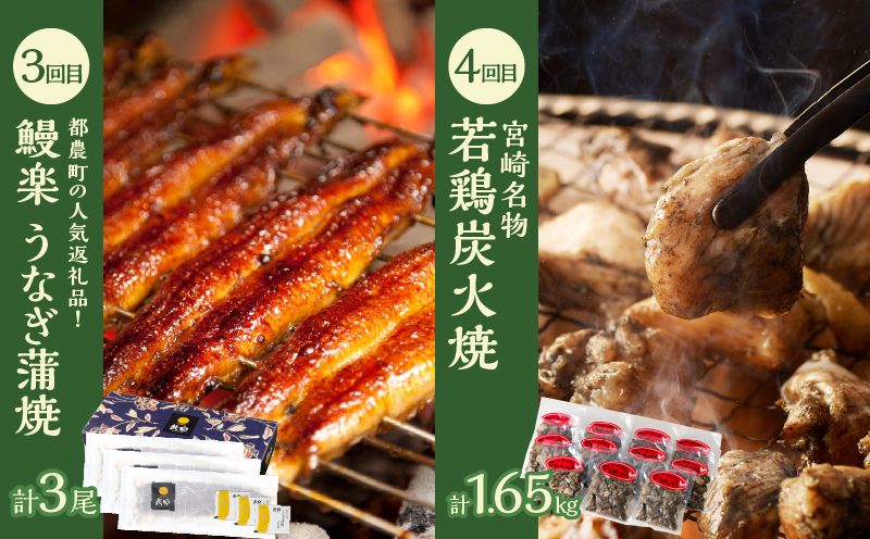 ≪6か月お楽しみ定期便≫都農町定期便(竹) _T999-0063【肉 加工品 鰻 国産 人気 ギフト おかず 食品 簡単調理 贈り物 お土産 送料無料 プレゼント】