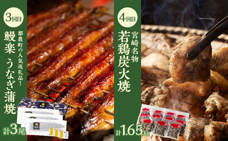 ≪6か月お楽しみ定期便≫都農町定期便(松)_T999-0073【肉 加工品 鰻 国産 人気 ギフト おかず 食品 簡単調理 贈り物 お土産 送料無料 プレゼント】