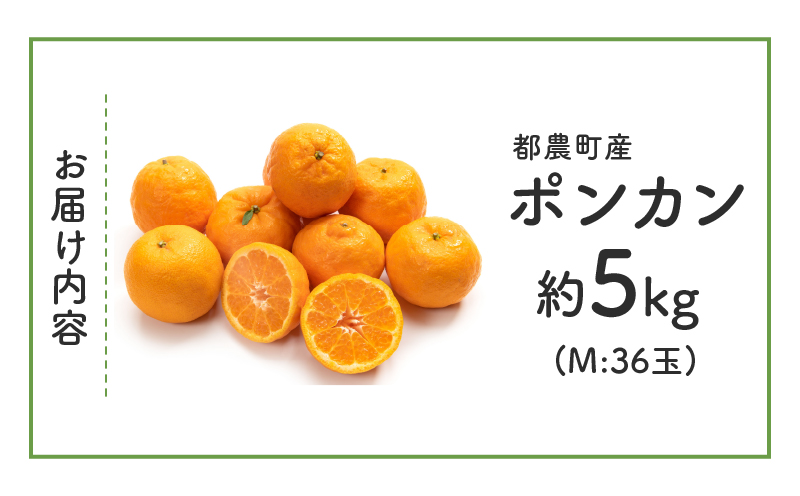 先行予約≪期間限定≫都農町産「ポンカン(Mサイズ)」 約5kg_T008-005【フルーツ 果物 柑橘 国産 人気 ギフト 食品 果実 デザート 贈り物 お土産 送料無料 プレゼント】