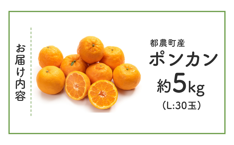 ≪期間限定≫都農町産「ポンカン(Lサイズ)」約5kg _T008-015【フルーツ 果物 柑橘 国産 人気 ギフト 食品 果実 デザート 贈り物 お土産 送料無料 プレゼント】