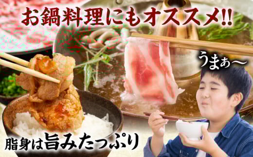 ≪訳あり≫宮崎県産豚ローススライス計1kg≪ロース・肩ロースどちらかのお届け≫ 肉 豚 豚肉 おかず 国産_T009-0103【人気 ギフト 食品 お肉 しゃぶしゃぶ 贈り物 お土産 送料無料 プレゼント】