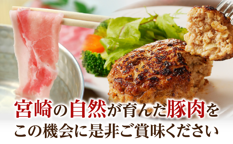 ≪宮崎県産≫豚肉6種＼てげスゲーセット／合計4.5kg 肉 豚 豚肉 おかず 国産_T009-032【人気 ギフト 食品 お肉 しゃぶしゃぶ 贈り物 お土産 送料無料 プレゼント】