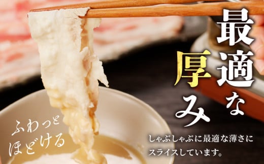宮崎県産豚バラしゃぶしゃぶ用(計1kg) 肉 豚 豚肉 おかず 国産_T009-0133【人気 ギフト 食品 お肉 おかず 焼肉 贈り物 お土産 送料無料 プレゼント】