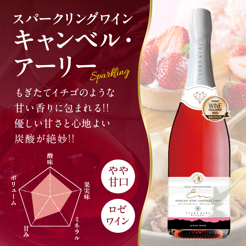 ＼年内発送!!／都農ワインセレクトセット(合計3本)_T014-001-N【 酒 飲料 アルコール 国産 人気 ギフト 食品 お酒 飲み比べ BBQ お土産 贈り物 送料無料 プレゼント】