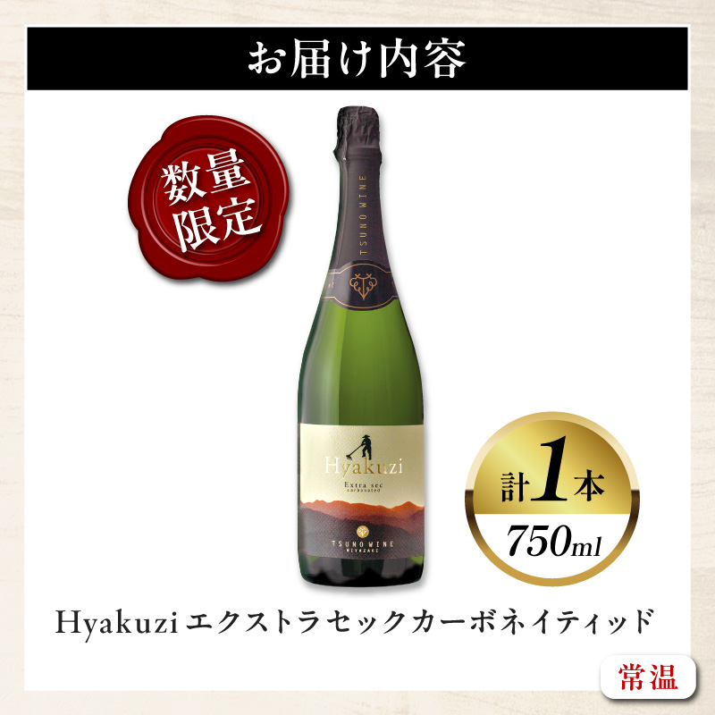 【数量限定】Hyakuzi エクストラセック カーボネイティッド(計1本)_T014-007【酒 飲料 アルコール 国産 人気 ギフト 食品 お酒 BBQ お土産 限定品 贈り物 送料無料 プレゼント】