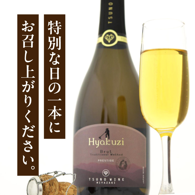 【数量限定】Hyakuzi ブリュット トラディショナル メソッド(計1本)_T014-008【酒 飲料 アルコール 国産 人気 ギフト 食品 お酒 BBQ お土産 限定品 贈り物 送料無料 プレゼント】