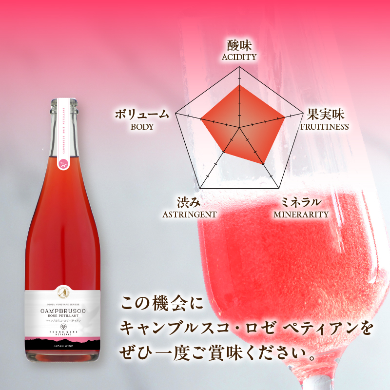 【数量限定】キャンブルスコ・ロゼ ペティアン (計1本)_T014-019【酒 ワイン アルコール 国産 人気 ギフト 飲料 食品 お酒 お土産 限定品 贈り物 送料無料 プレゼント】
