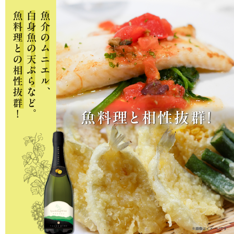 【数量限定】スパークリングワイン キウイ(計1本)_T014-023【酒 飲料 アルコール 国産 人気 ギフト 飲料 食品 お酒 お土産 限定品 贈り物 送料無料 プレゼント】