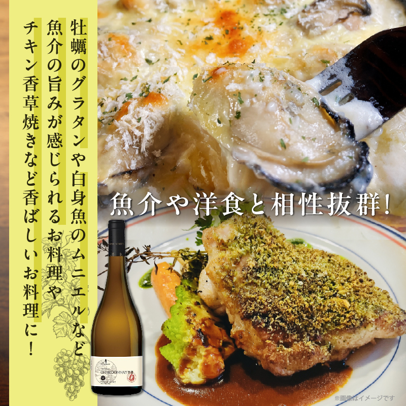 【数量限定】プレステージシャルドネ都農(計1本) 酒 飲料 アルコール 国産_T014-026